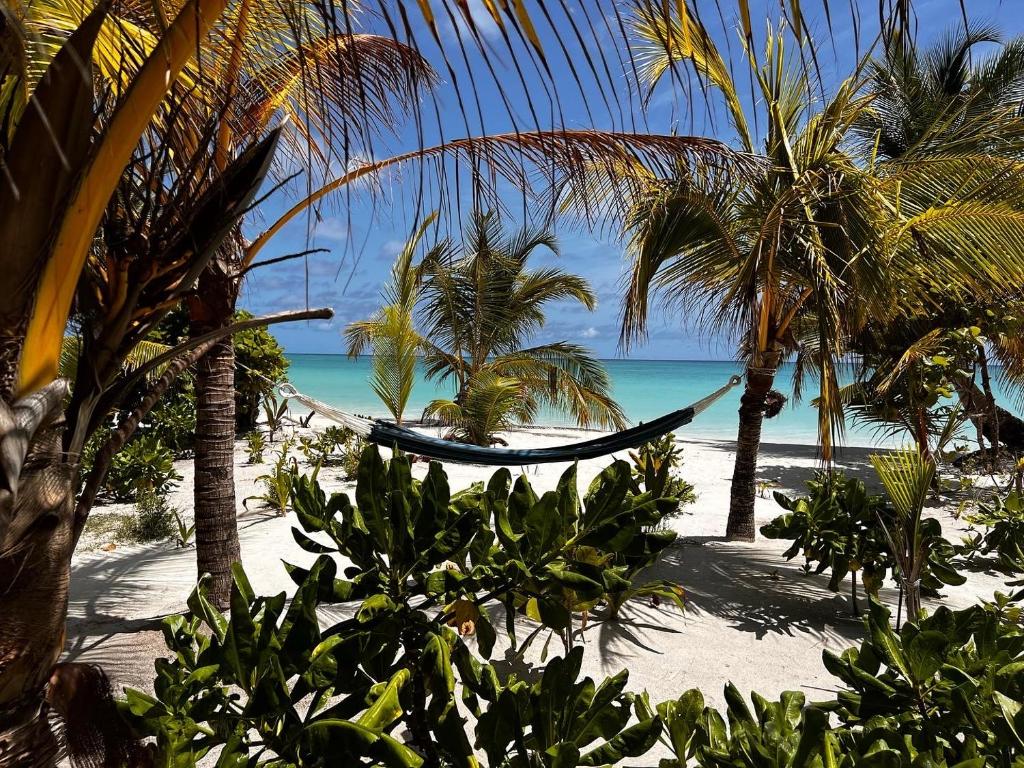 Clouds Beach Retreat Laamu Gan photo 3