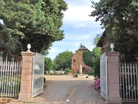 Domaine du Mas Naut photo 3