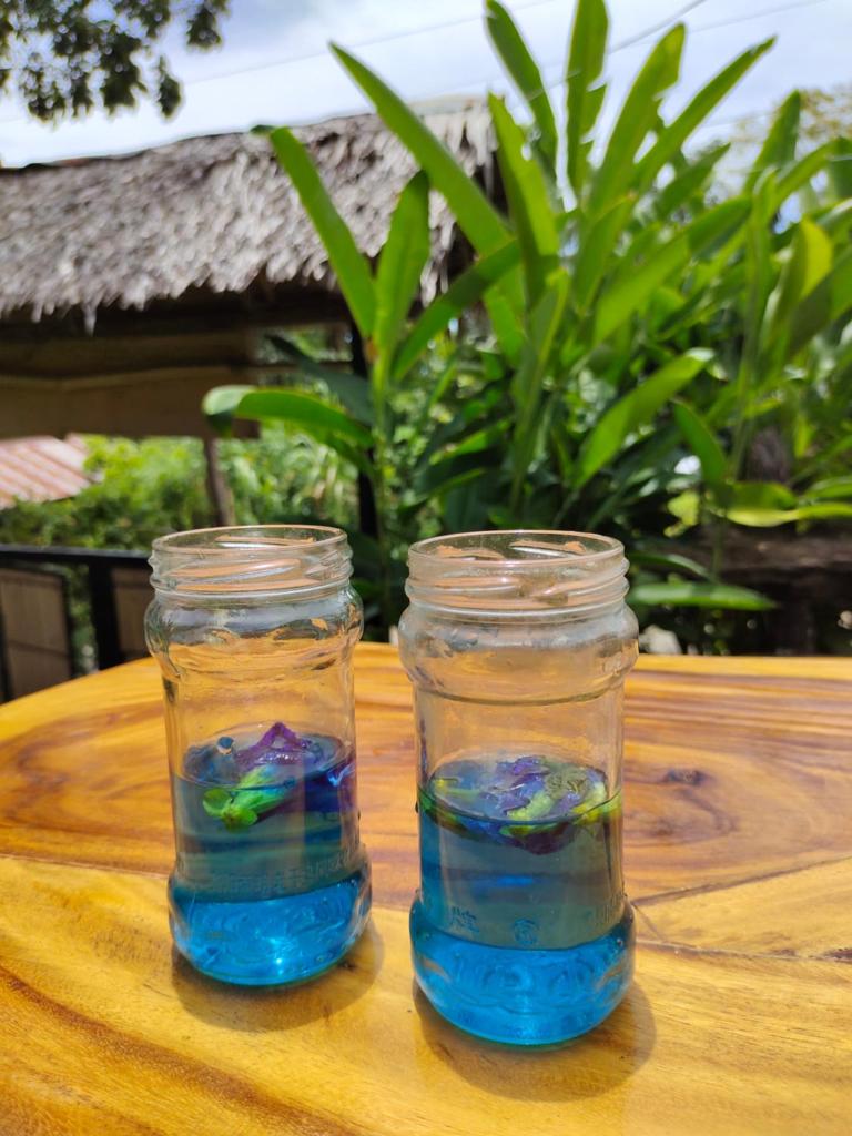Payag n' Kapitan, Experience pinubre living photo 4