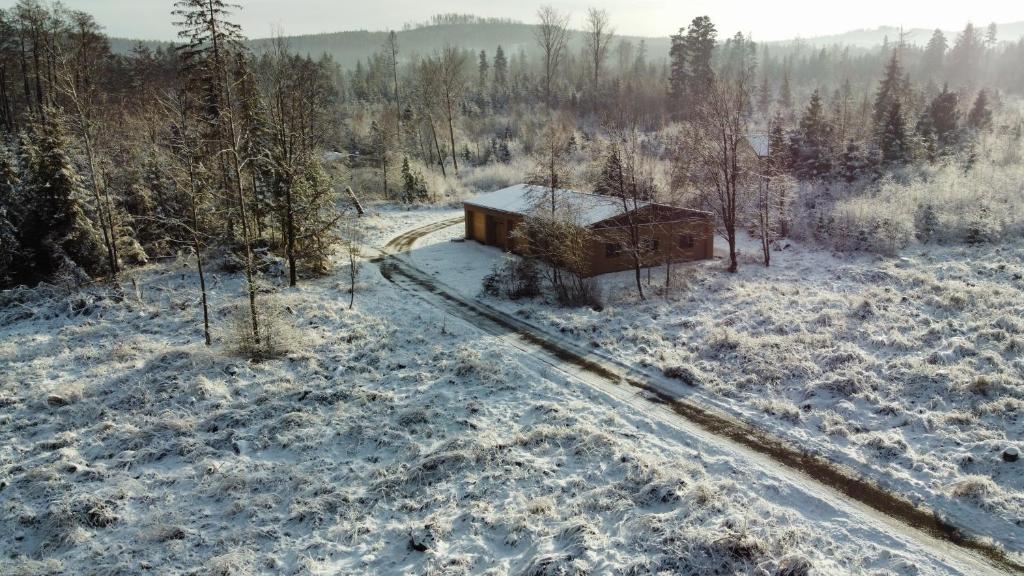 Na samotě u lesa - Jeseníky photo 4