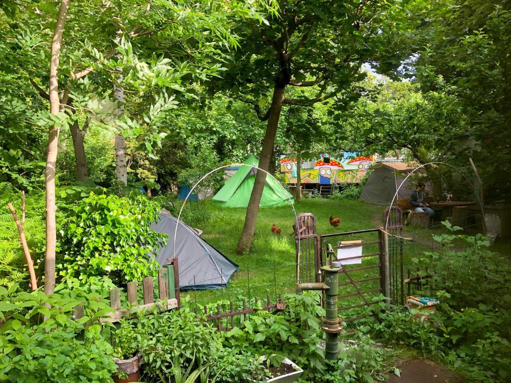 Sandino Hostel - Solo Traveler Sanctuary photo 3