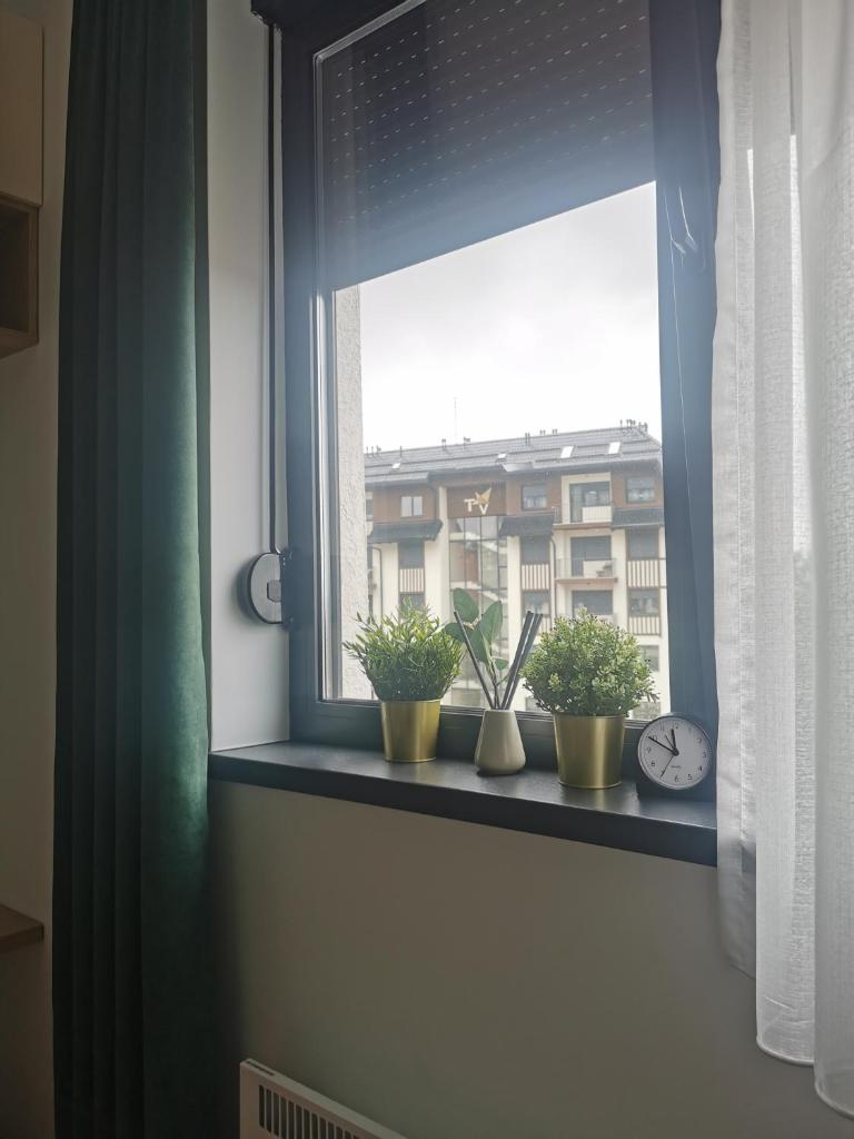 Apartman SKY photo 3