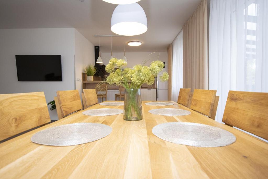 Apartmán LIPNO Z1 - Frymburk photo 2