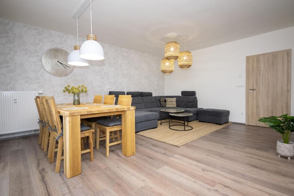 Apartmán LIPNO Z1 - Frymburk photo 4