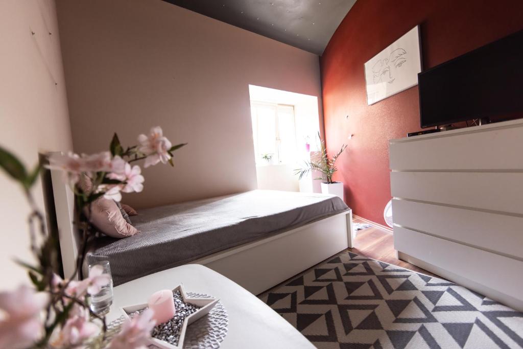 Rooms Viktorin photo 1