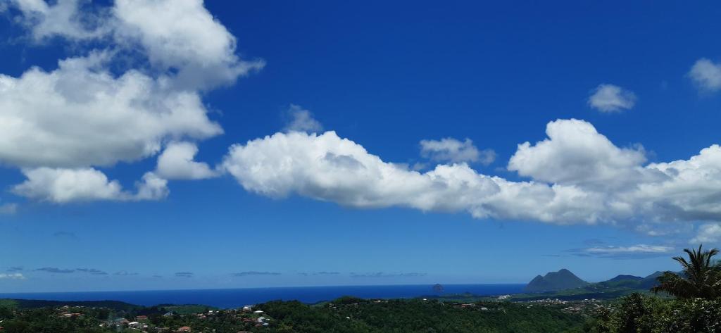 VILLA LINEDDY/ZINNIA photo 2