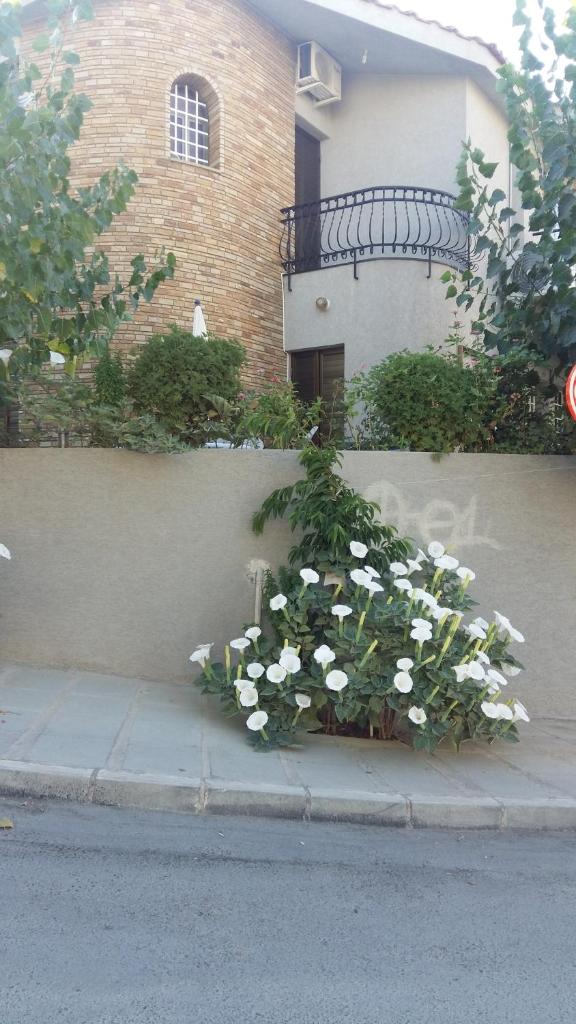 Nikola's House photo 2