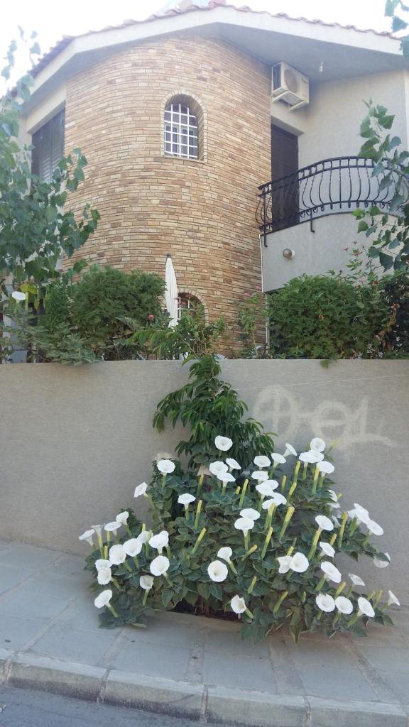 Nikola's House photo 1