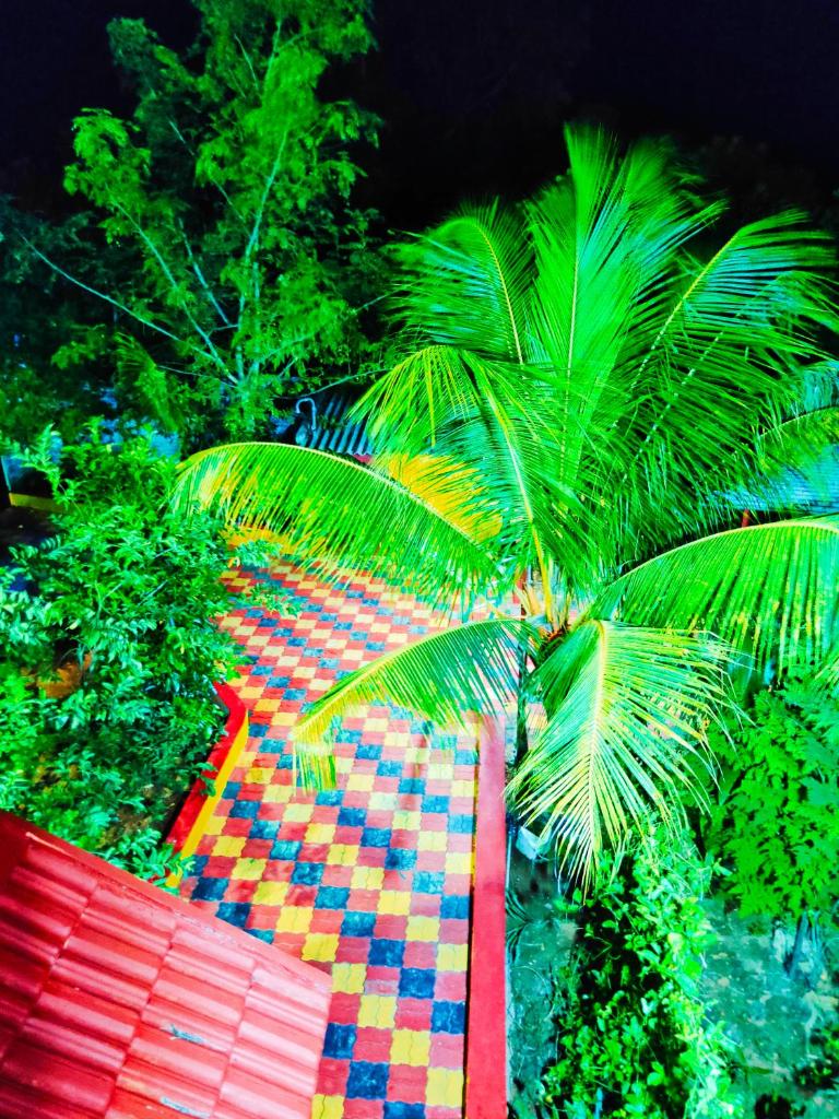 Smith garden Farm house Auroville Pondicherry photo 4