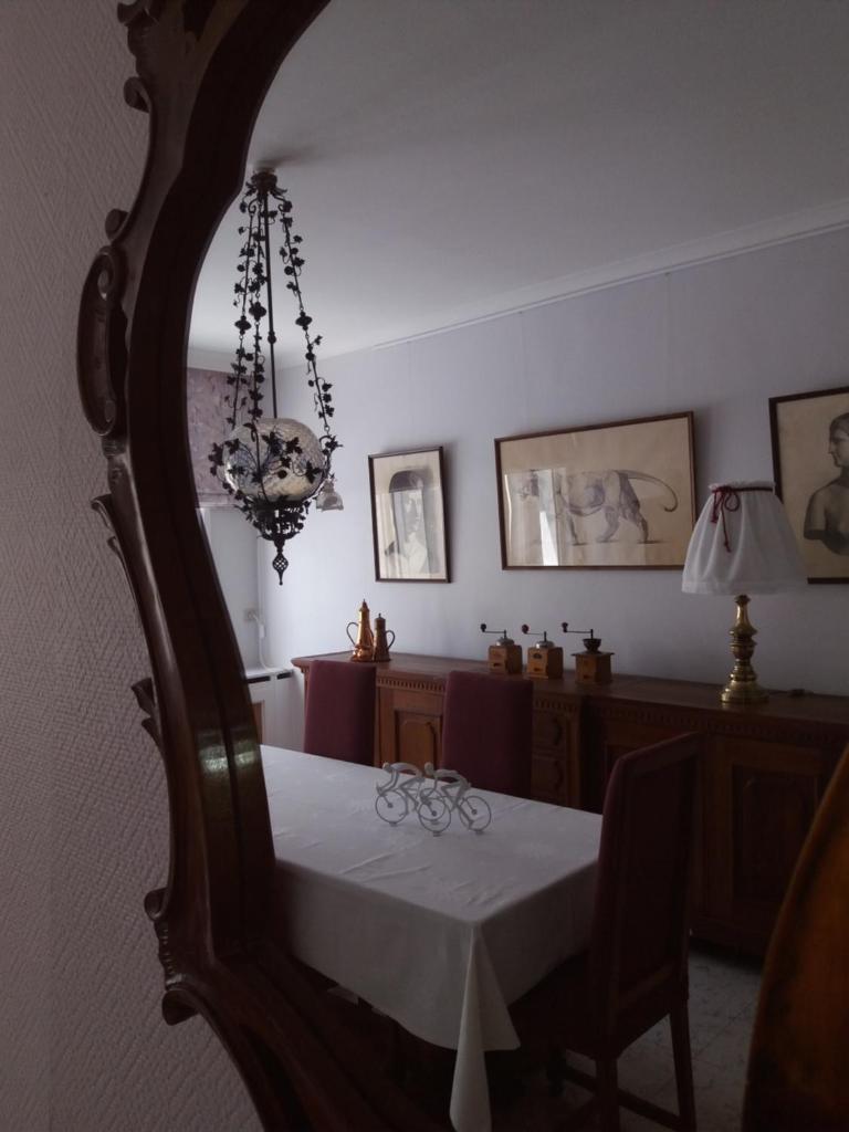 VELOCIPEDE OUDENAARDE vakantieverblijf 6 pers ADULTS ONLY photo 4