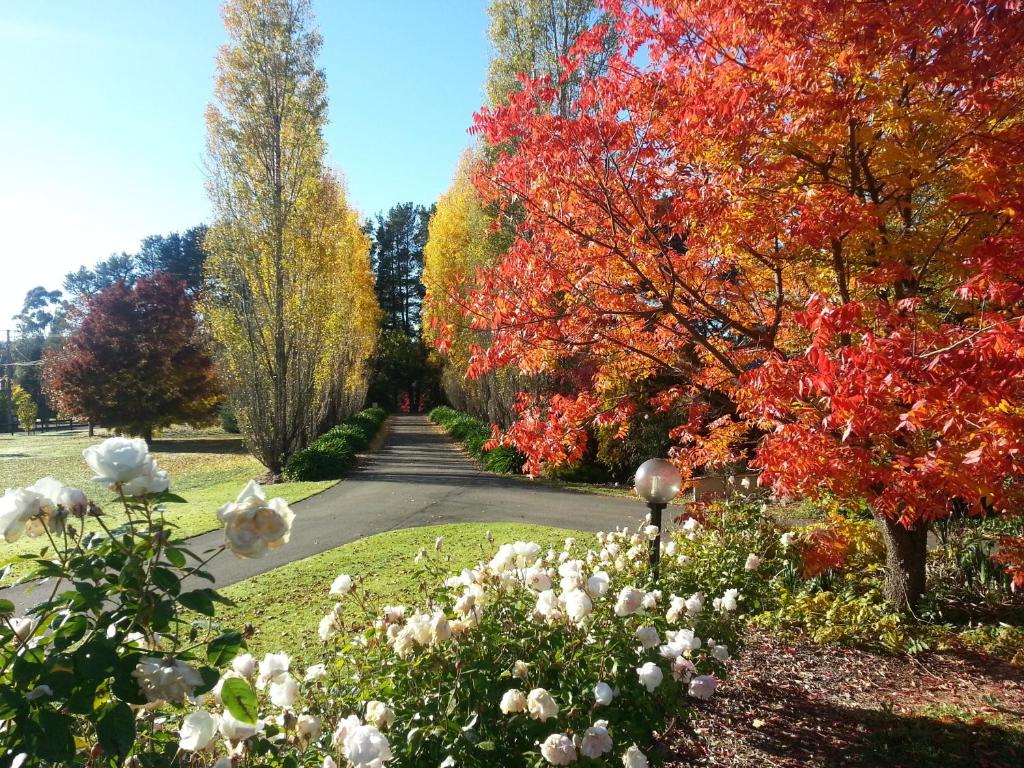 Melview Greens photo 4