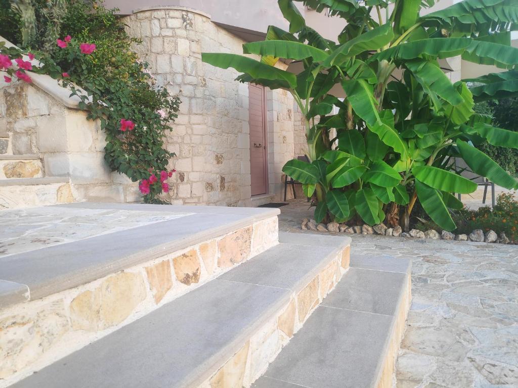 Xenia's countryside guesthouse photo 2