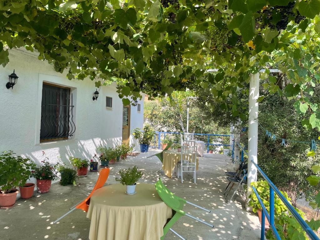 Piqeras Relax Guest House photo 4