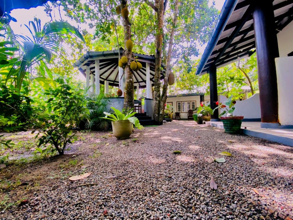 drongo place photo 3
