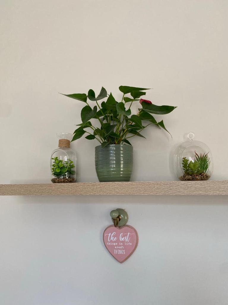 Hugo Mews Bright Studio Apartment photo 4