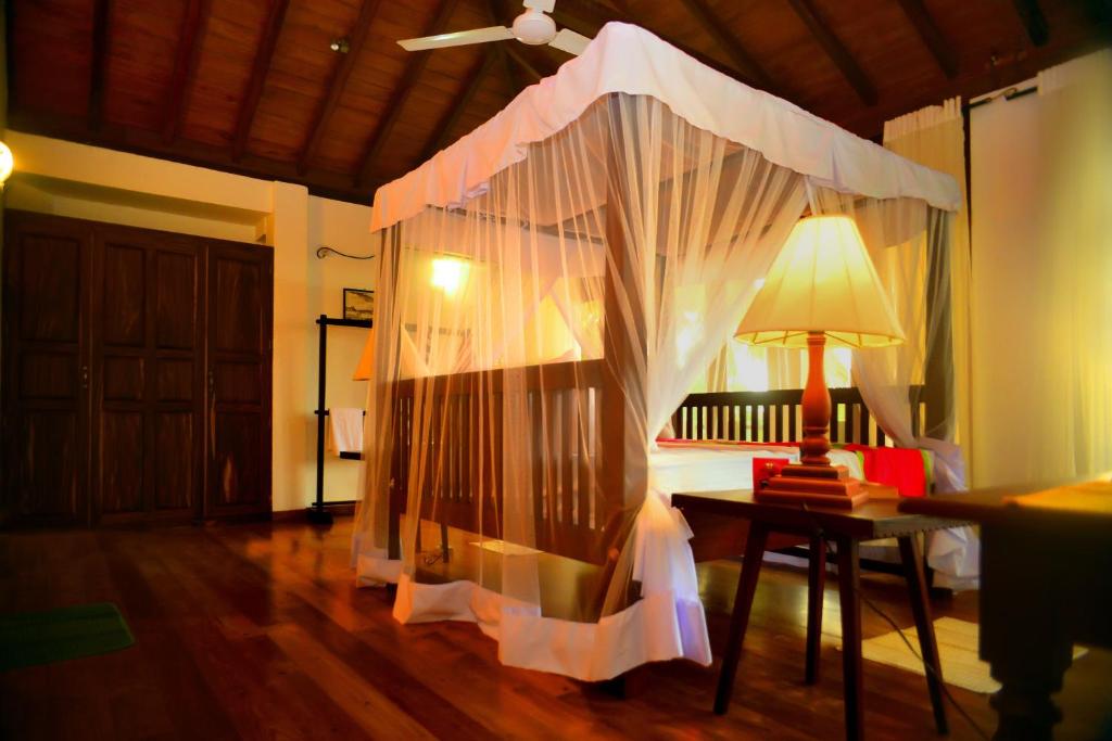 Tropical Retreat photo 4