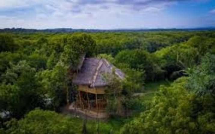 Mermaid Cabana and Tree Houses photo 2