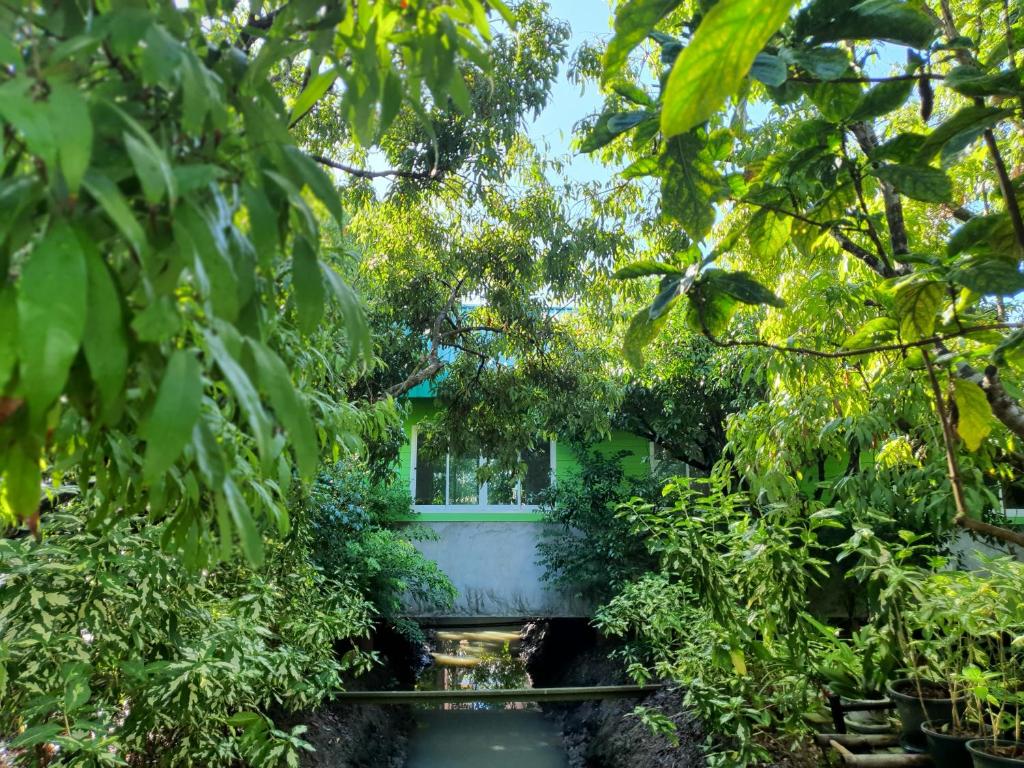Warakorn Baansuan Amphawa photo 3
