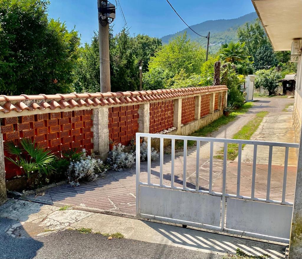 Terrace & free Parking