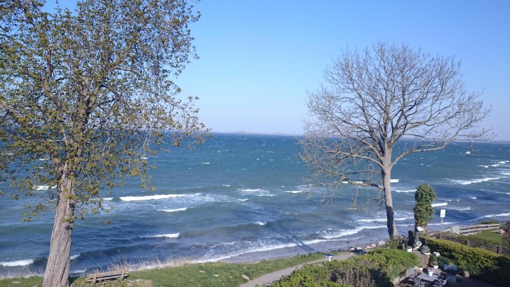 Strandappartement Steinberghaff "Farborg" mit Meerblick photo 1