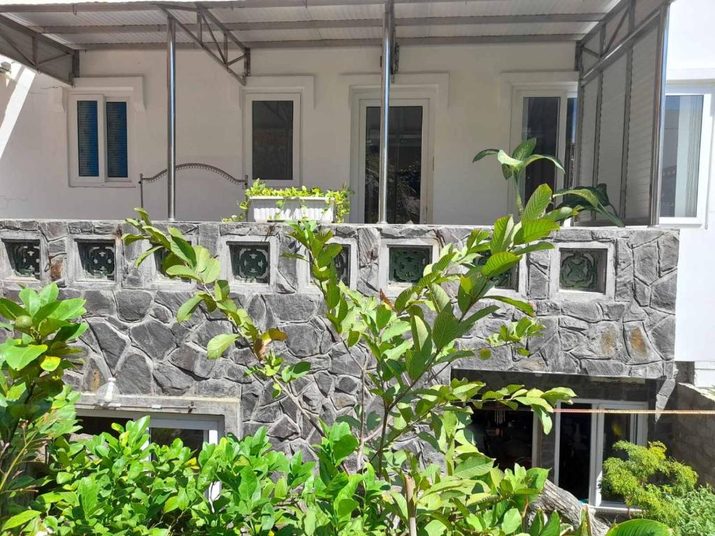 Mango Tree Serviced Apartment