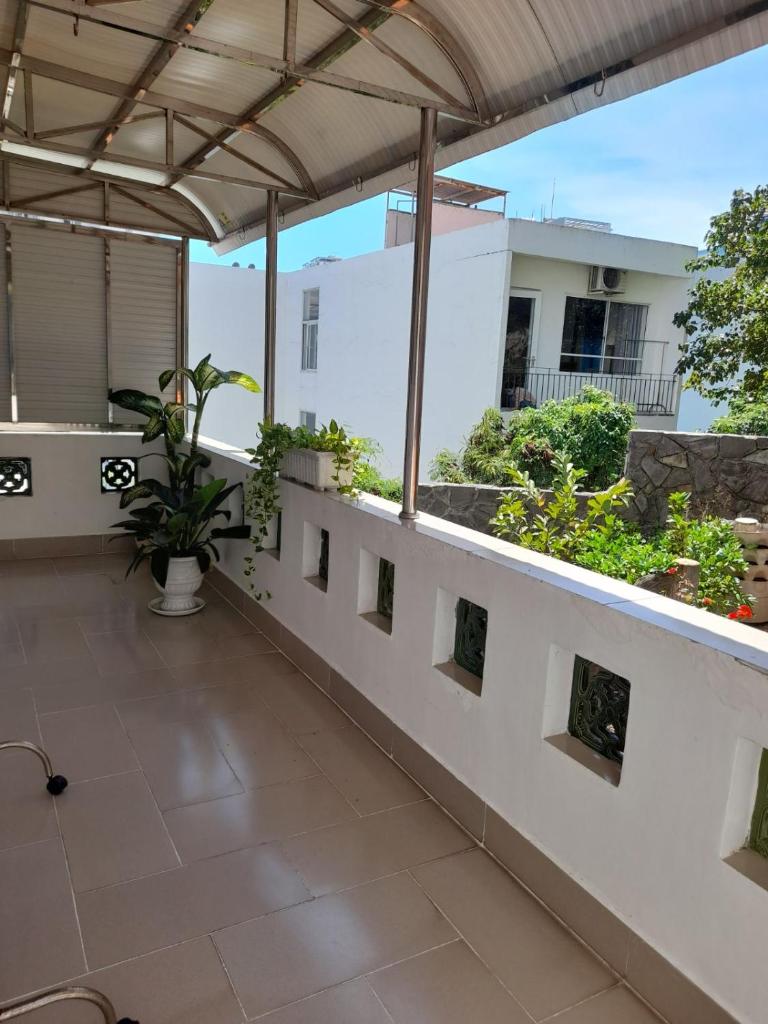 Mango Tree Serviced Apartment