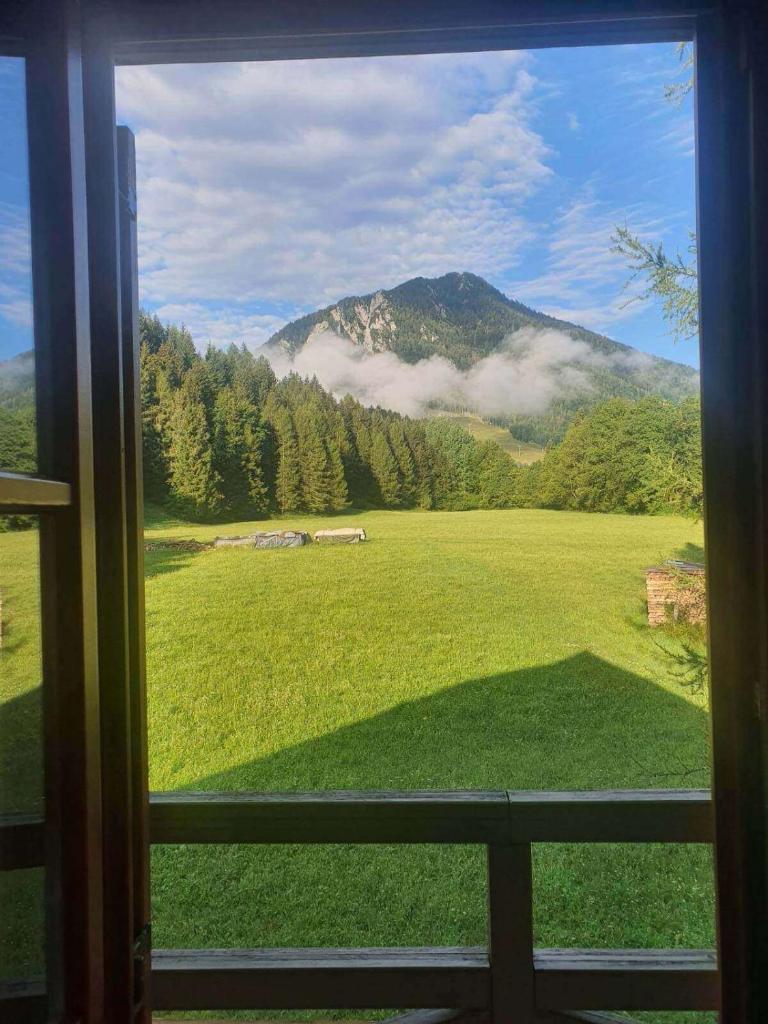Villa Dona photo 4