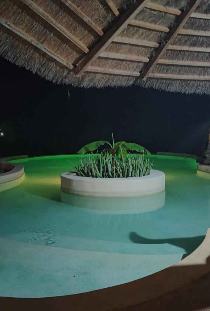 Villa avec piscine à Ndangane photo 4