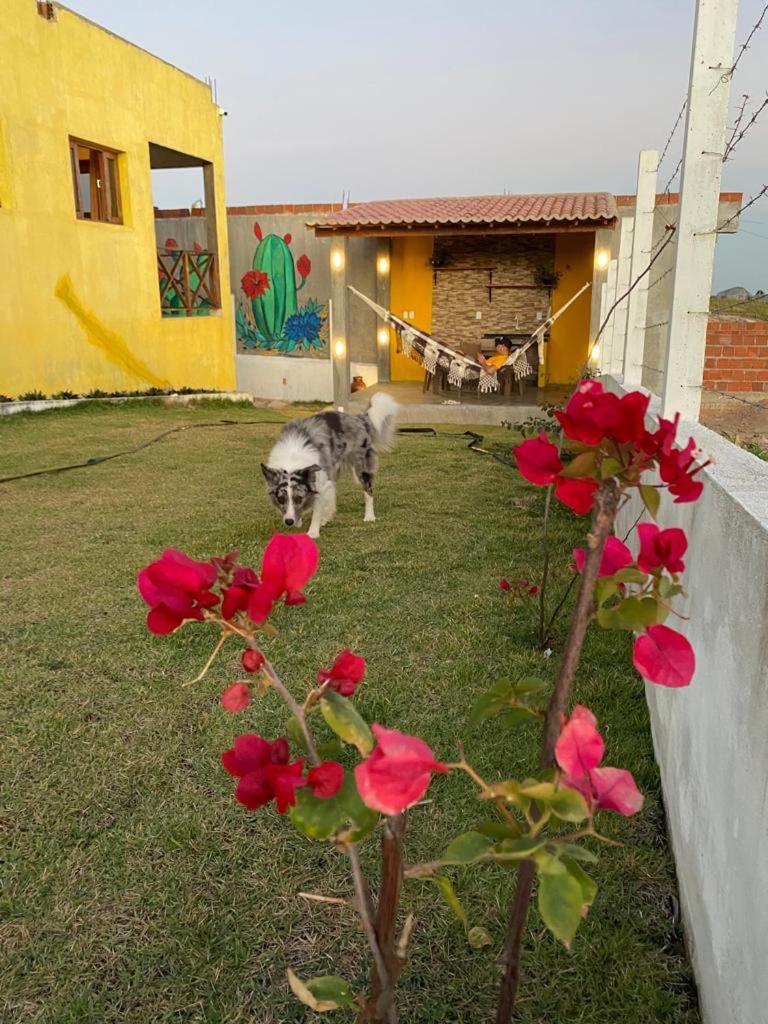 Casa Vale do Sol photo 2