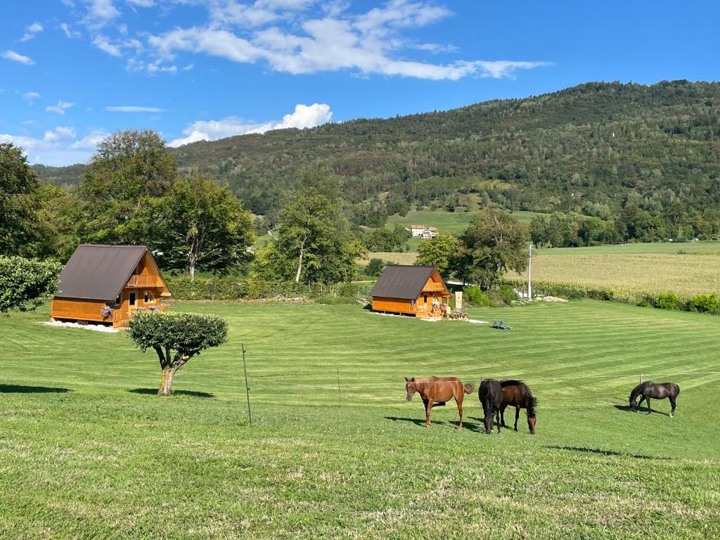 Agri Camp Dolomiti photo 3
