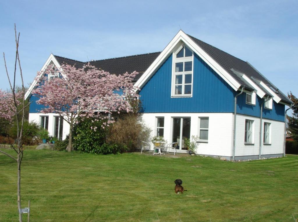 Haus am Deich Ferienwohnungen photo 1