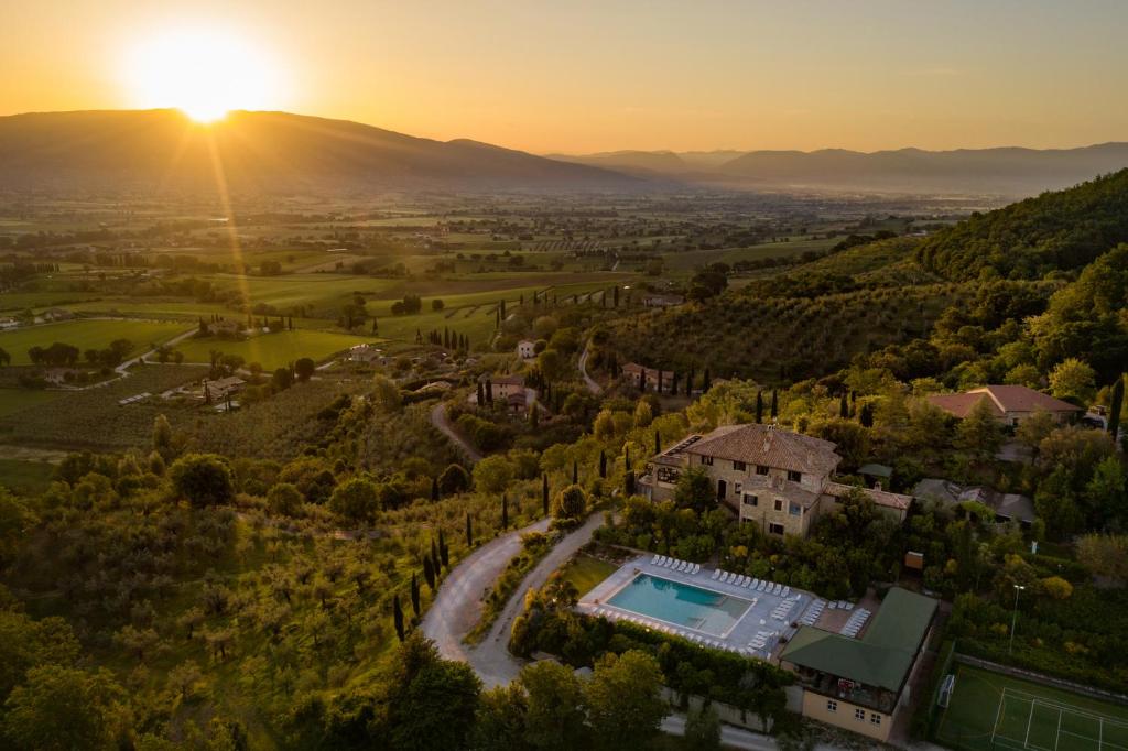 Il Poggio degli Olivi photo 3