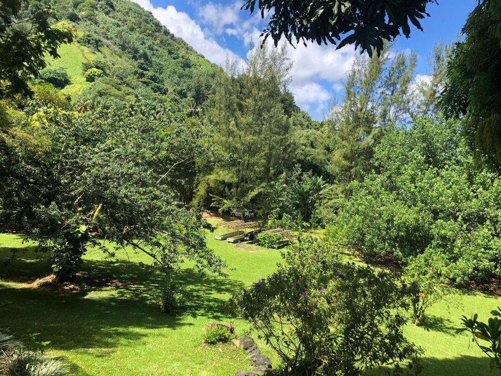 VILLA O VAI photo 4