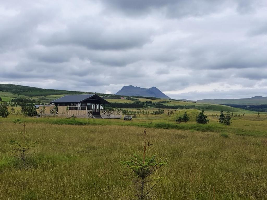 Adorable cosy and private new cabin in the south photo 2