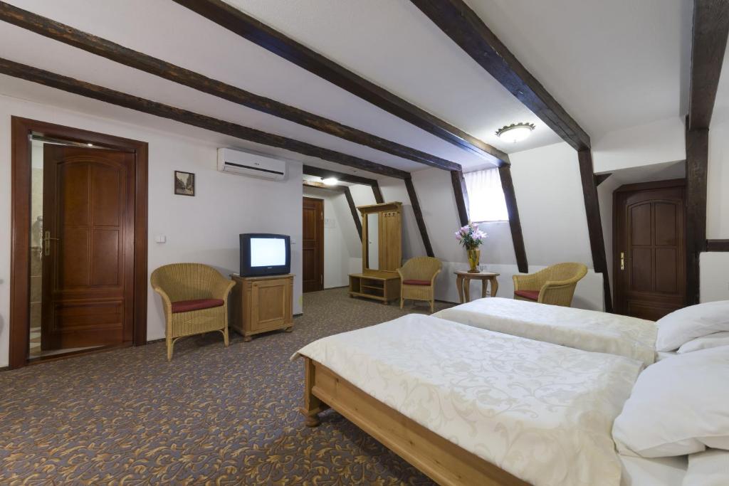 Трехместный (Трехместный номер), Отель Cerny Slon