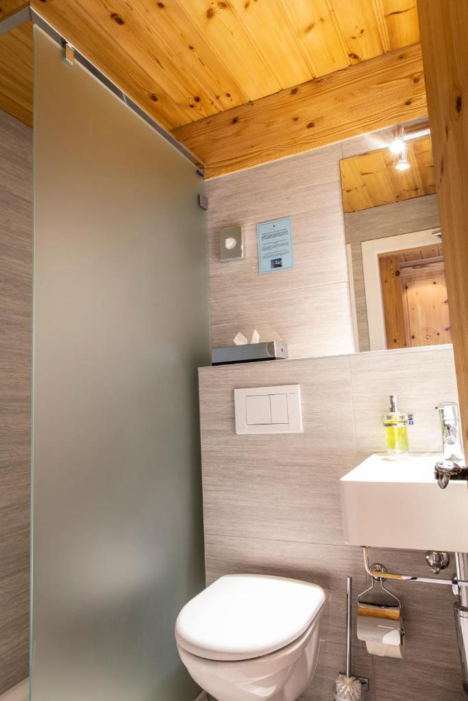 Hôtel Alpina - Swiss Ski & Bike Lodge Grimentz photo 3