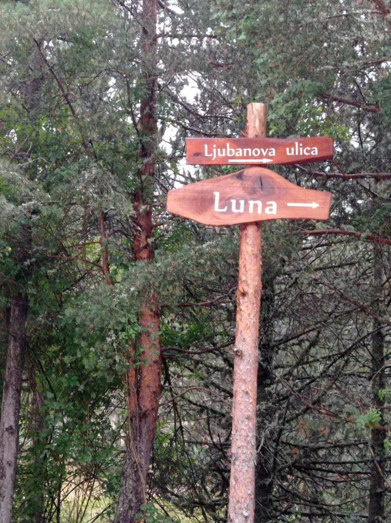 Luna photo 1