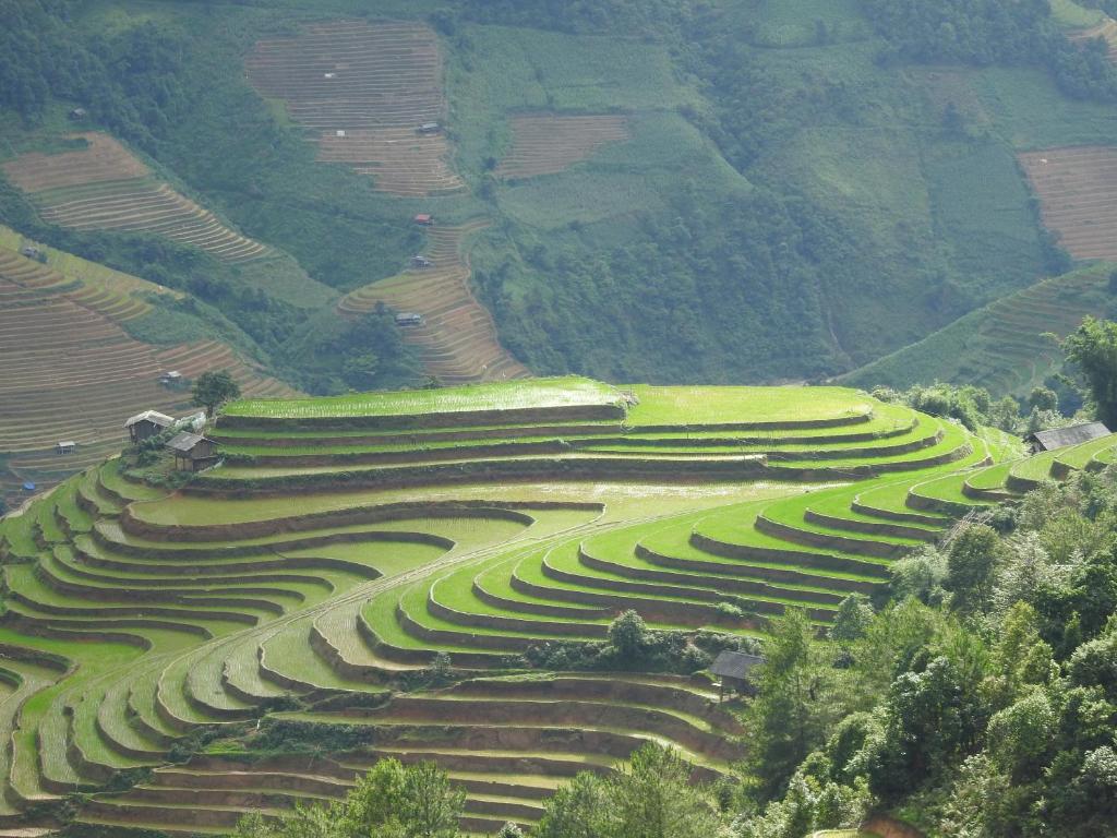 Cao Pha Homestay
