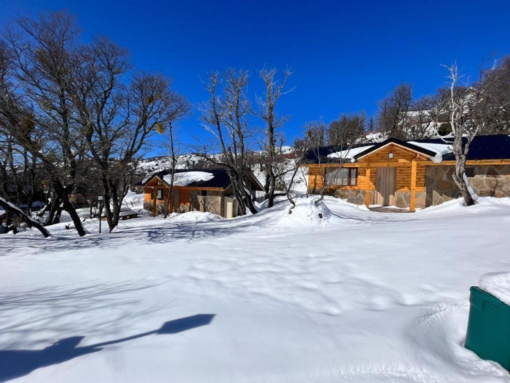 Cabañas Viajeros Patagónicos Moquehue photo 4