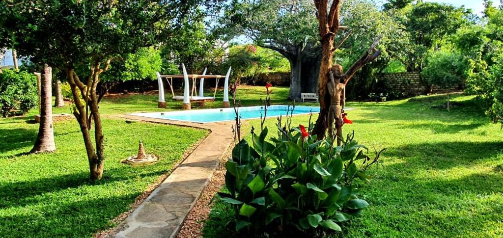 Malindivillabaobab photo 3