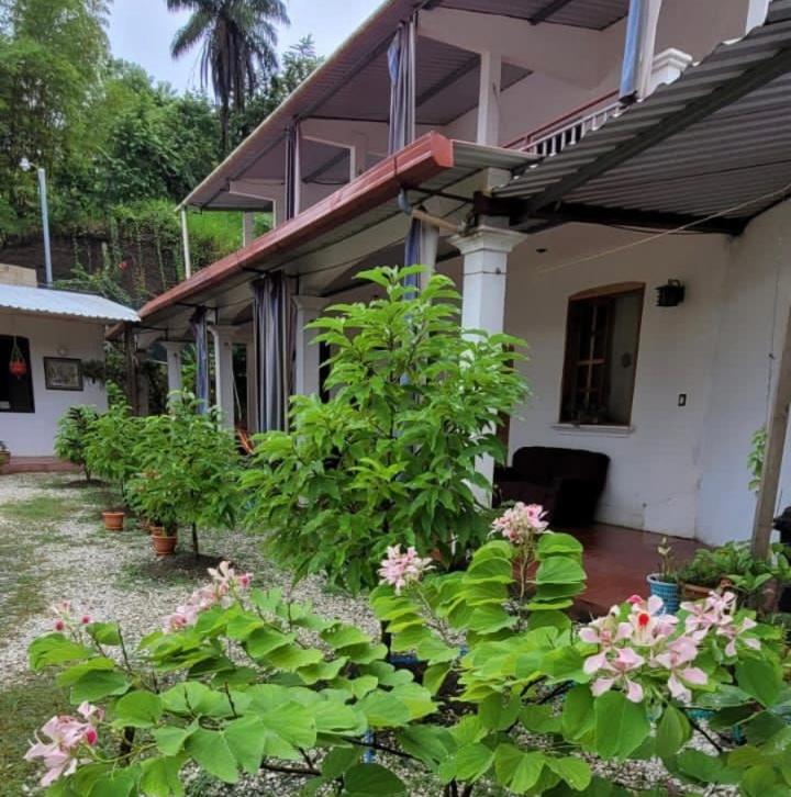 Lauris Hotel photo 4