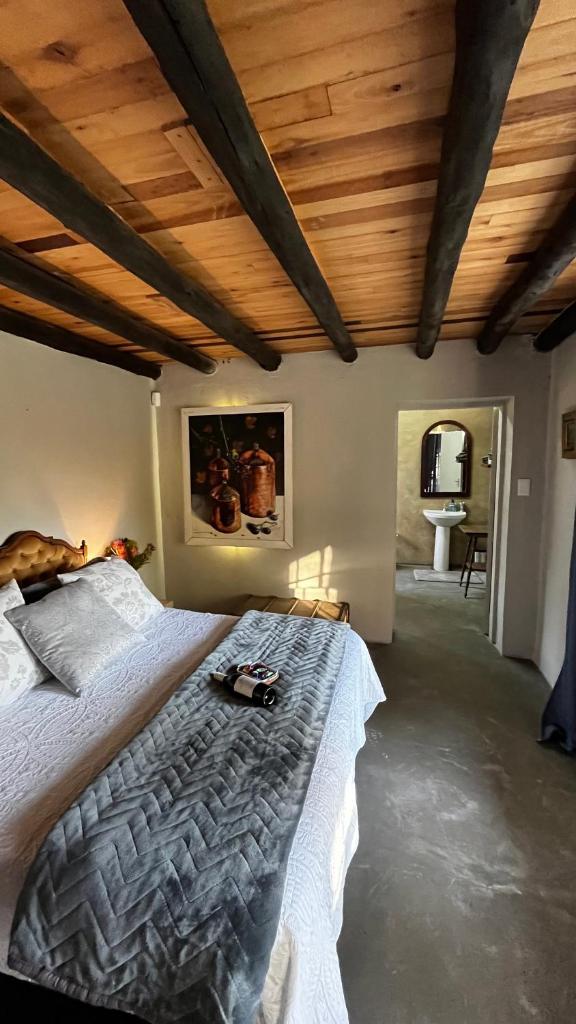 OppiPlasie Guest House & SPA photo 2