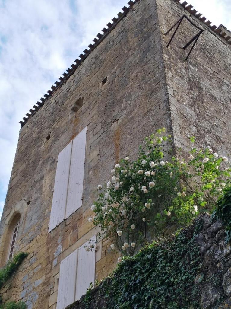 Medieval castle full of charm to rent photo 4