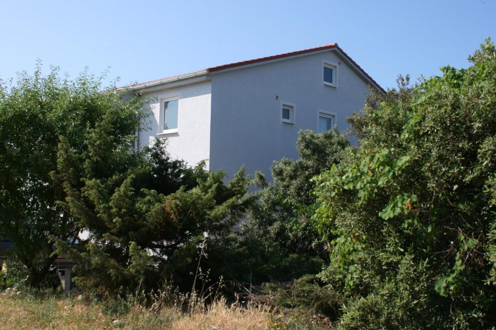 Apartment Mandre 6405b photo 1