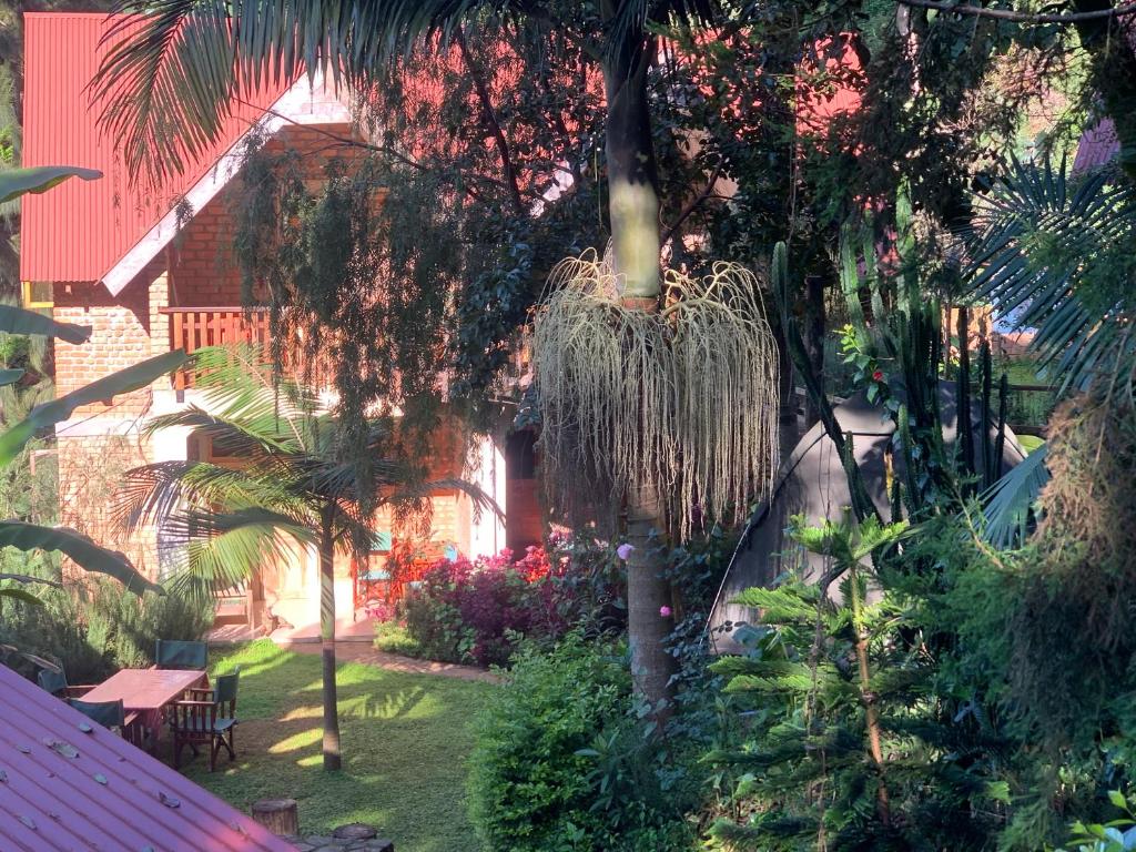 David Crater Homestay photo 4