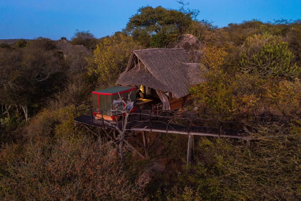 Loisaba Star Beds photo 4