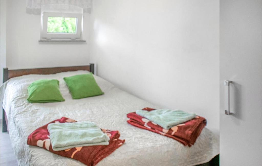 Awesome Apartment In Dominikowo With Wifi photo 3