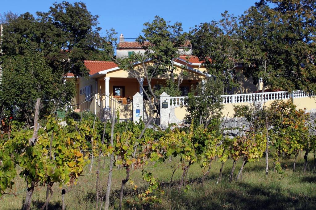 Luxury villa with a swimming pool Ripenda, Labin - 7360 photo 2