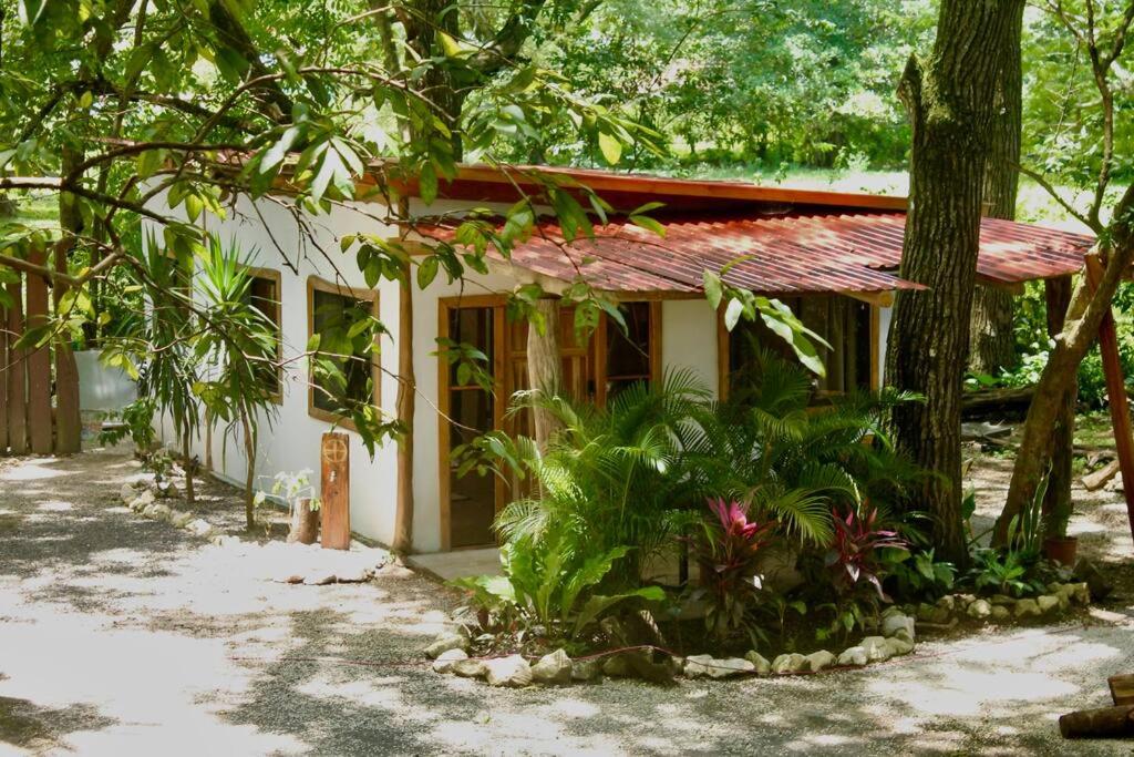 A Nature Lovers Paradise! - Iona Villas photo 1