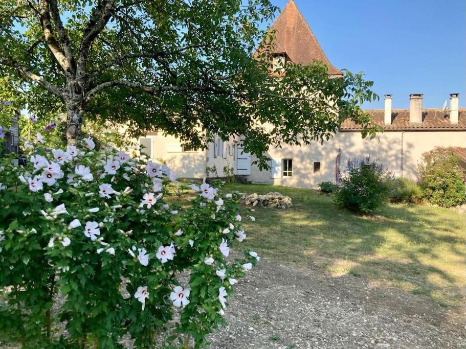 Clos du Palens Agen - Que des amis, que du bonheur photo 4